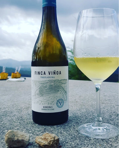 Wine Tasting in Galicia...