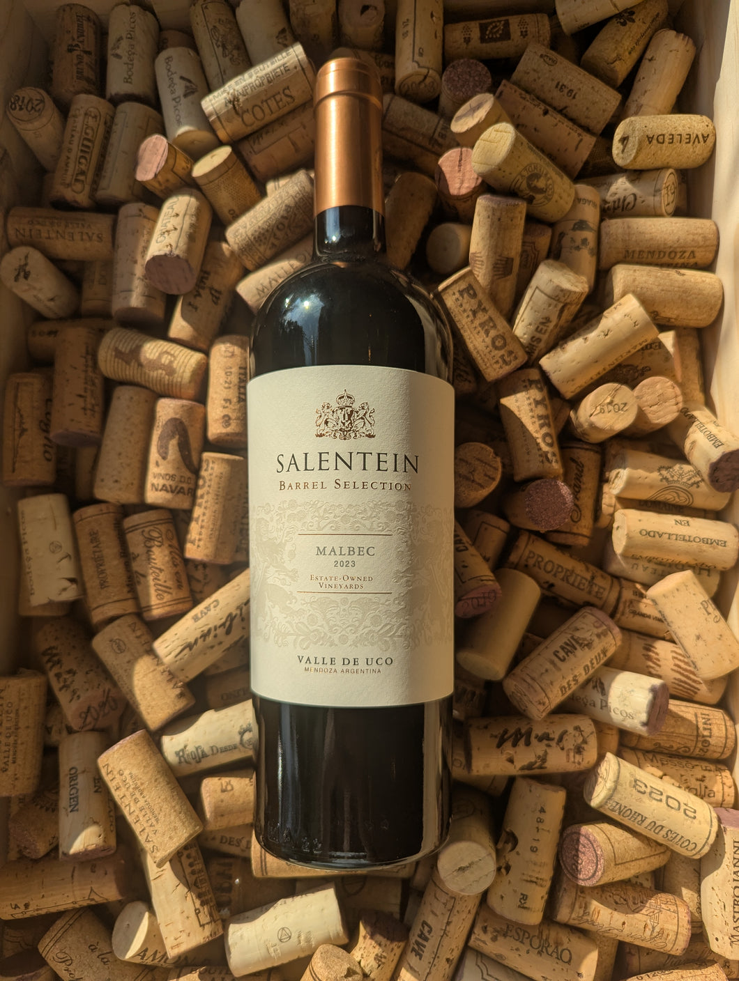 Salentein Valle De Uco Malbec 2023