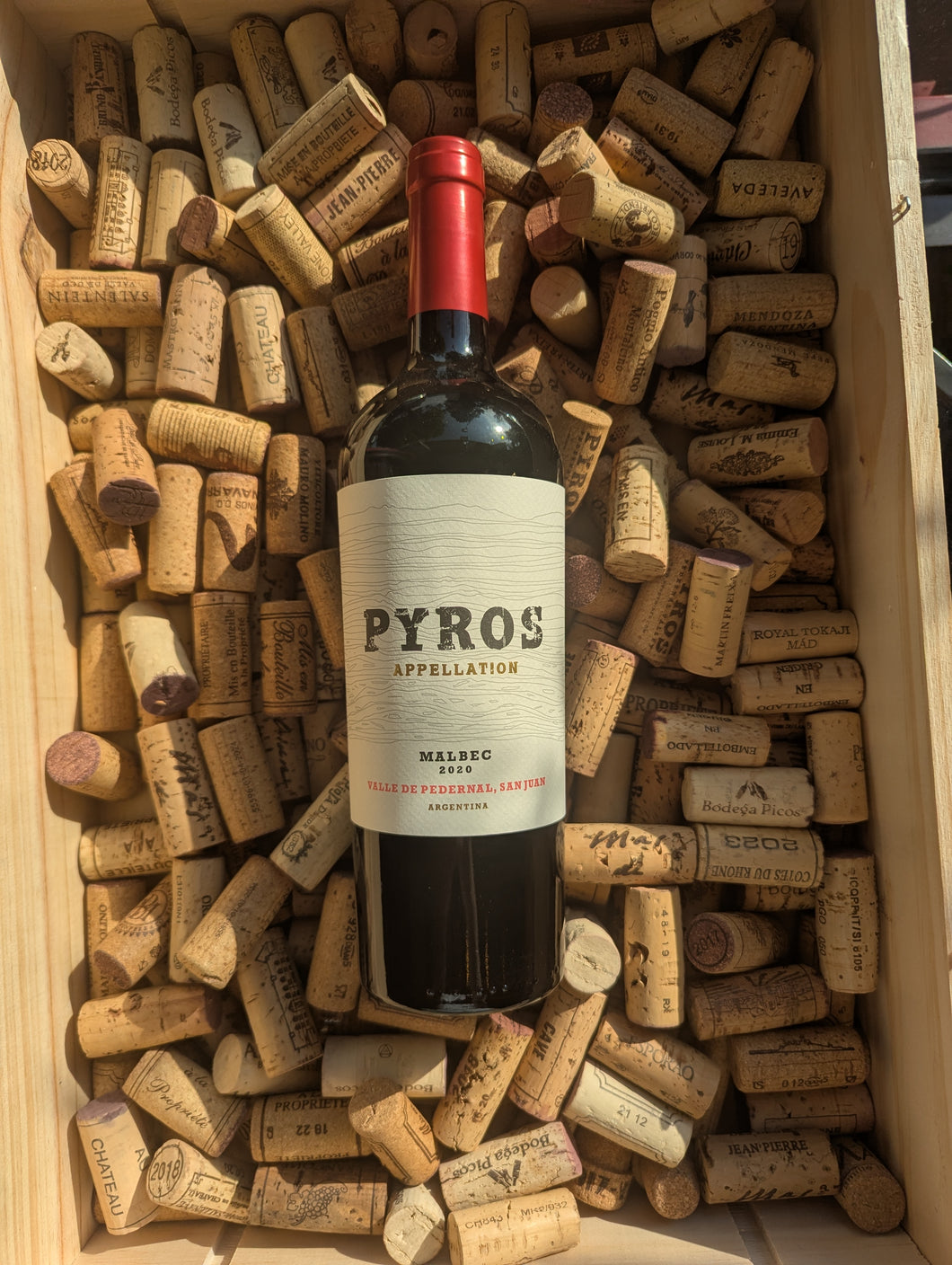 Pyros Appelation Valle de Pedernal Malbec 2020