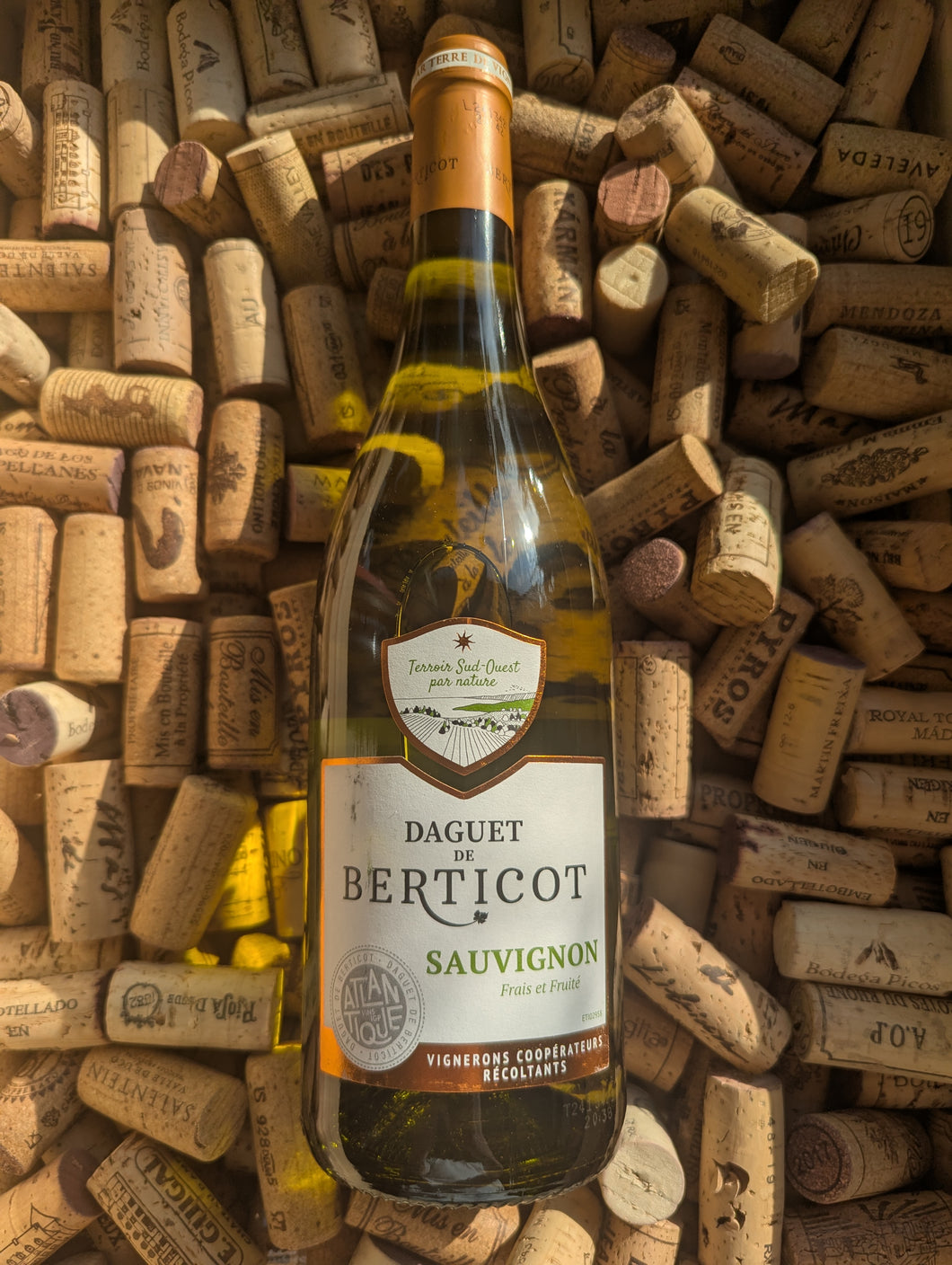 Daguet de Berticot Sauvignon 2023