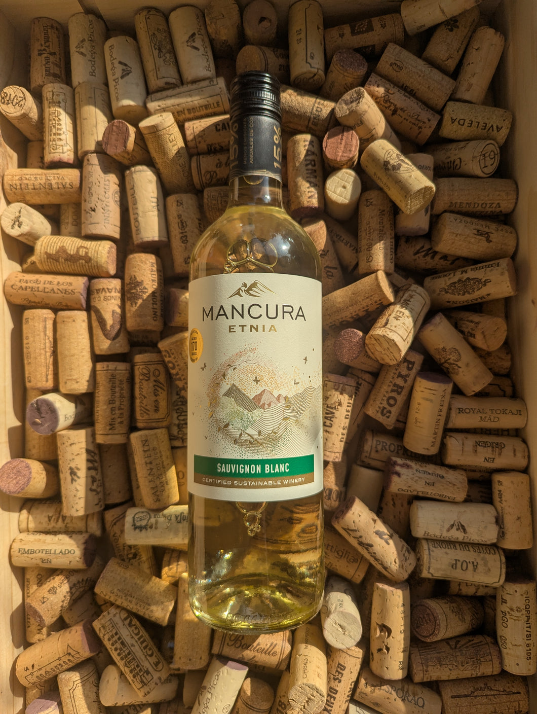 Mancura Etnia Sauvignon Blanc