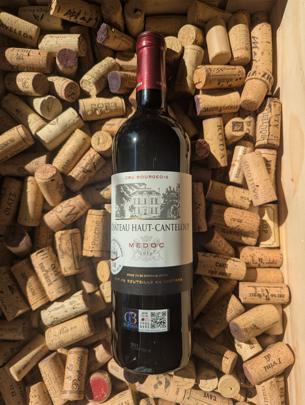 Château Haut-Canteloup Médoc 2016