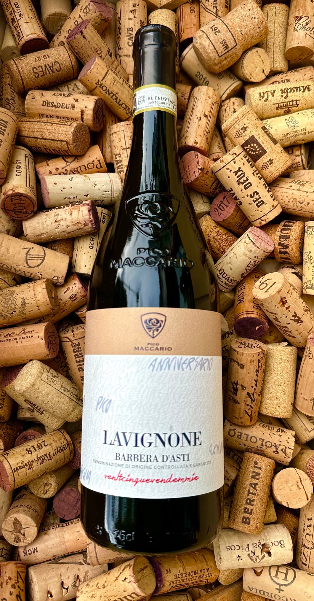 Pico Maccario Lavignone Barbera d'Asti