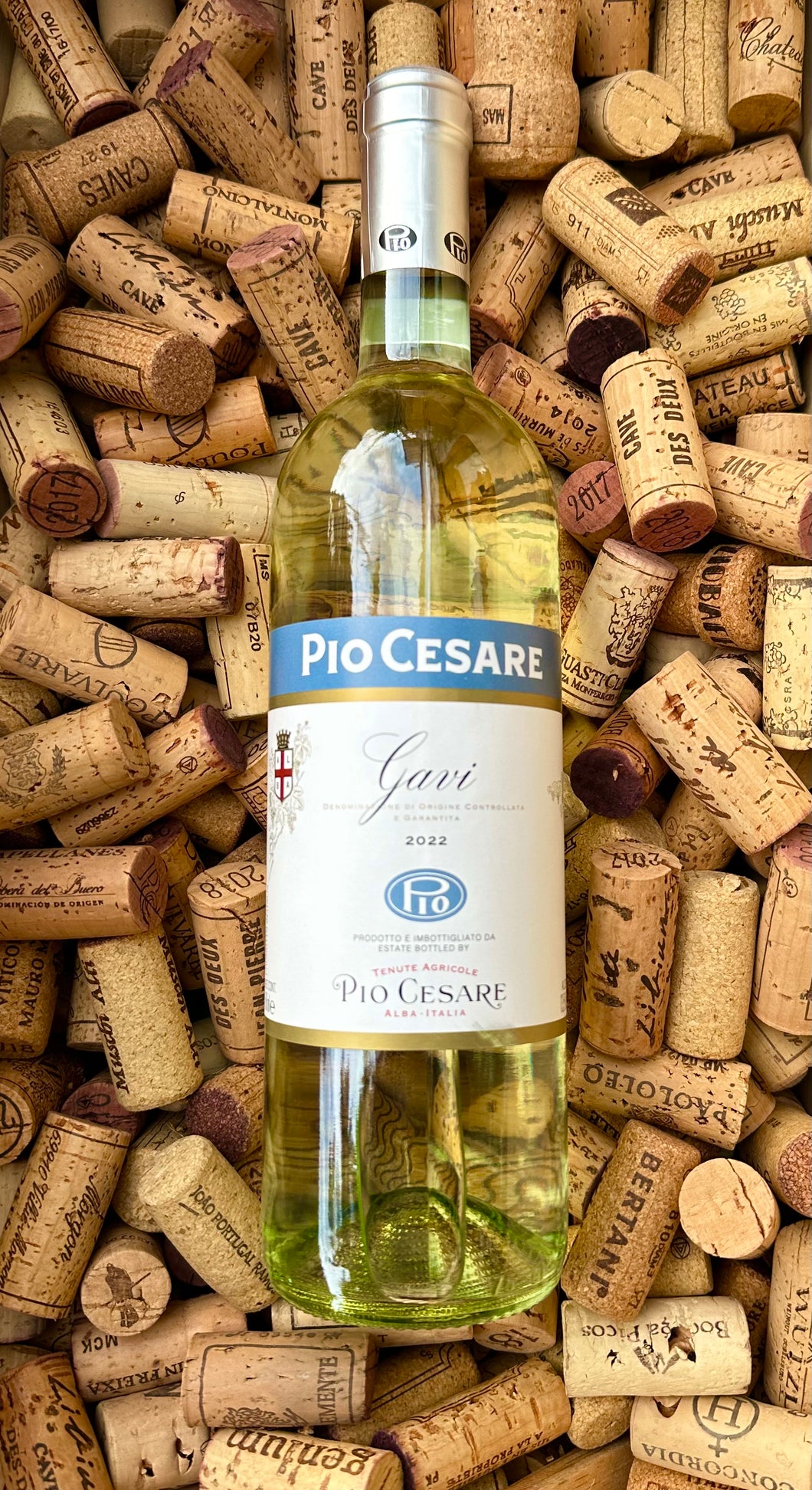 Pio Cesare Gavi