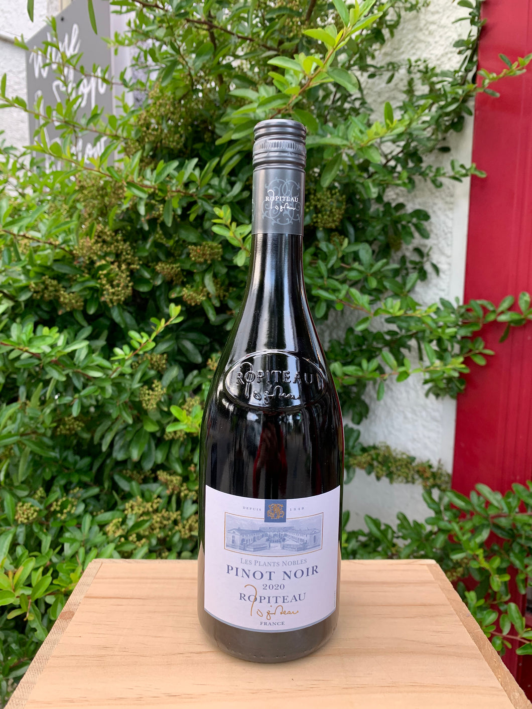 Ropiteau Freres Les Plants Nobles Pinot Noir