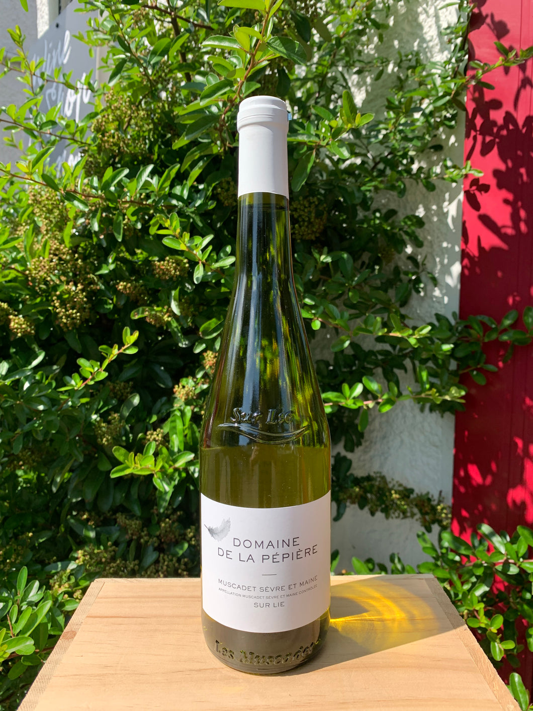 Domaine De La Pépière Muscadet Sèvre et Maine