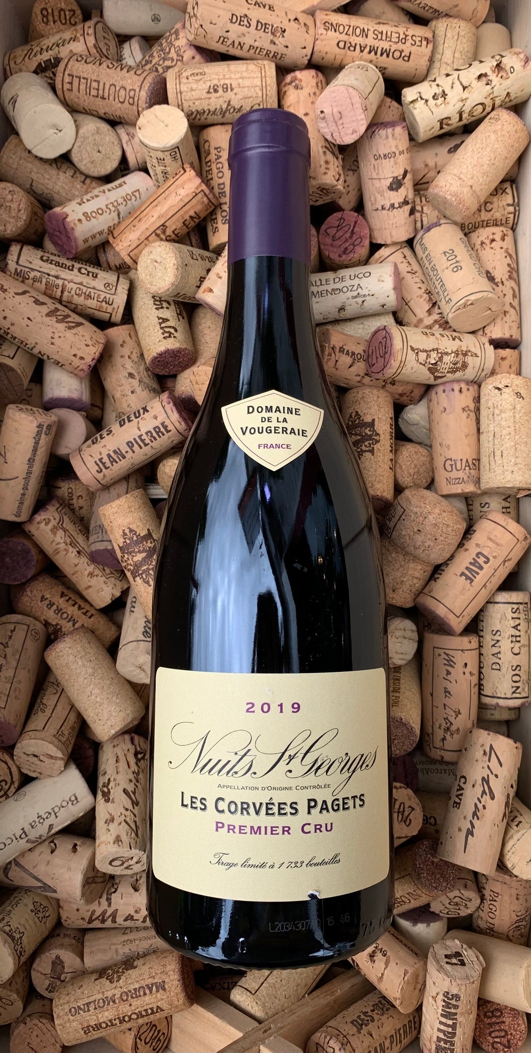 Domaine De La VouGeraie Nuits St. Georges Les Corvées Pagets Premier Cru