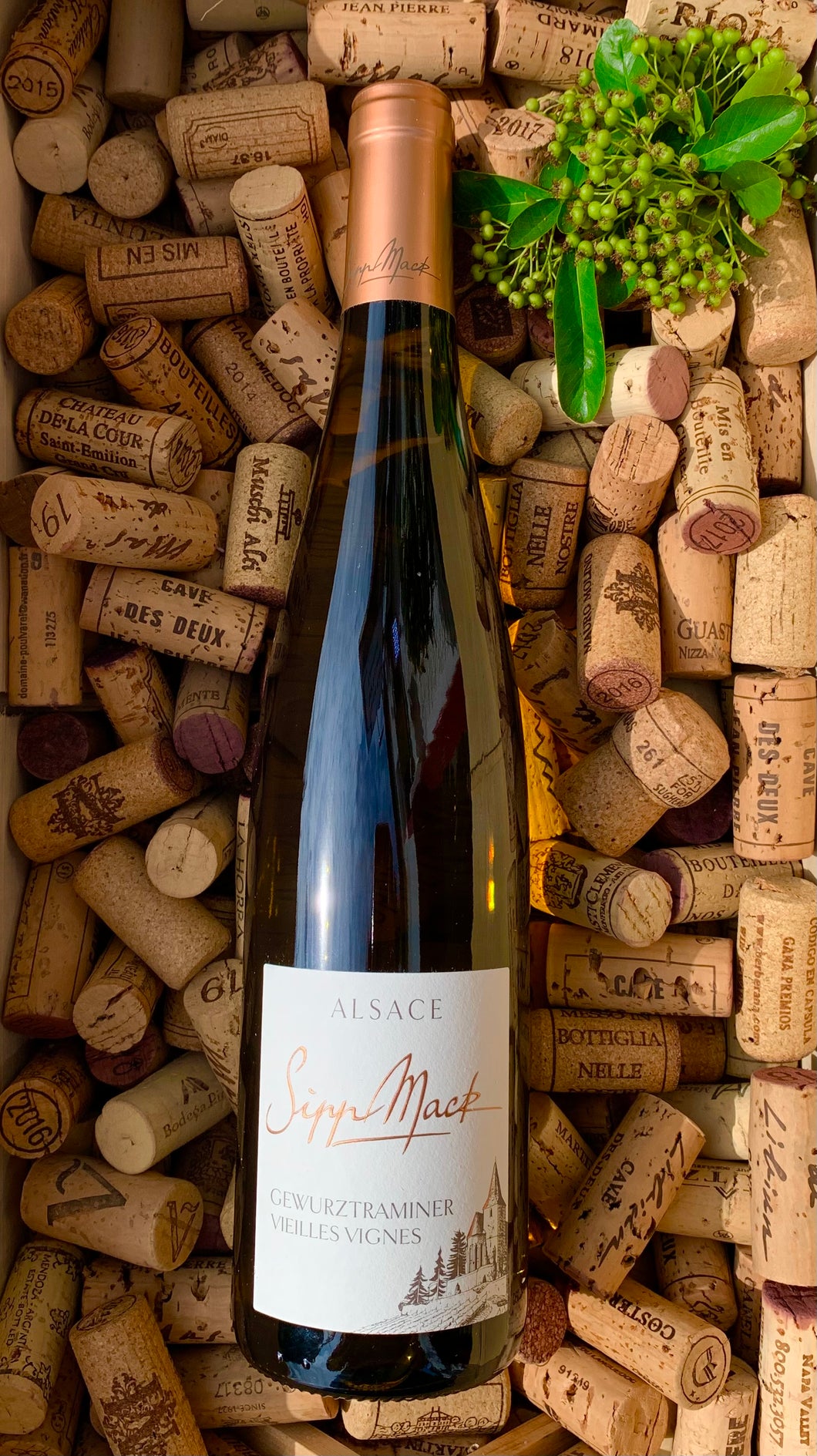 Sipp Mack Gewurztraminer Vieilles Vignes (Organic)