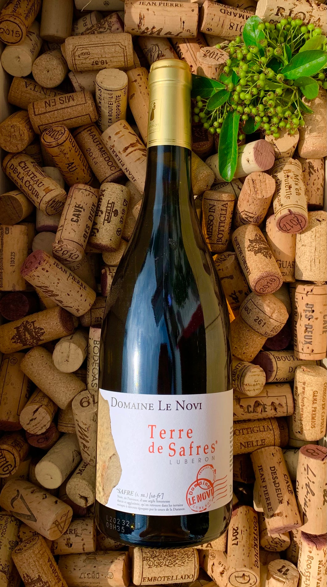 Domaine Le Novi Terre de Safres Luberon (Organic)