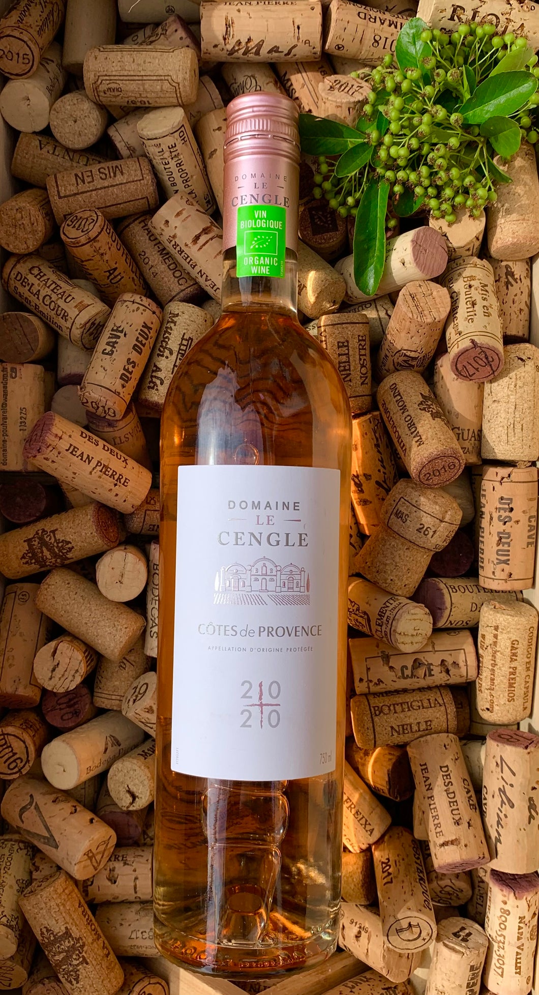 Château de la Galiniere Le Cengle Côtes de Provence (Organic)