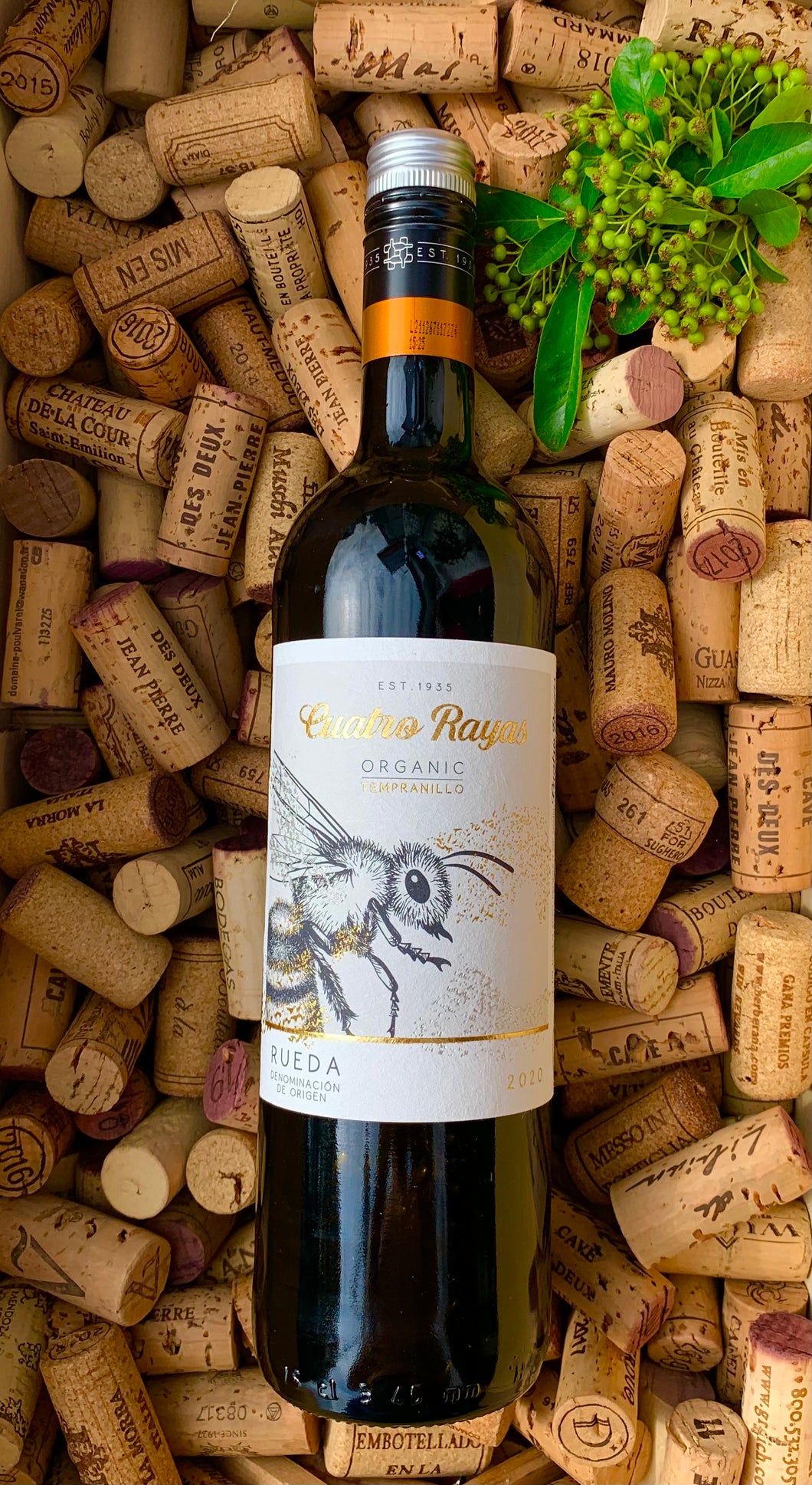 Cuatro Rayas Organic Tempranillo